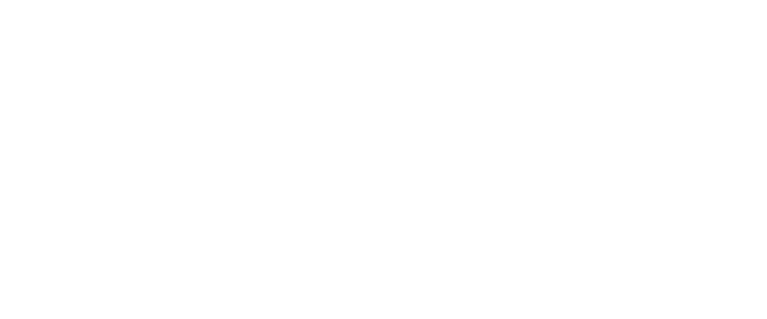 ProSafety Logo